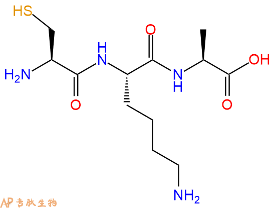 专肽生物产品三肽Cys-Lys-Ala