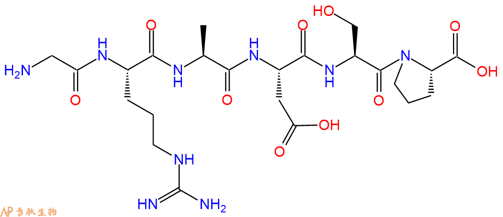 专肽生物产品六肽Gly-Arg-Ala-Asp-Ser-Pro99896-86-3