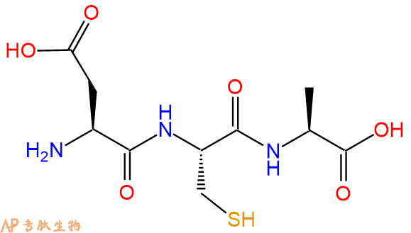 专肽生物产品三肽Asp-Cys-Ala