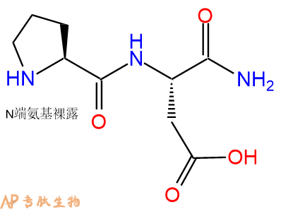 专肽生物产品二肽Pro-Asp-NH2