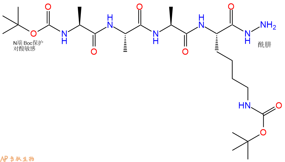 专肽生物产品四肽Boc-Ala-Ala-Ala-Lys(Boc)-NH-NH2103443-58-9