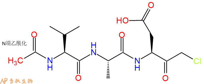 专肽生物产品Caspase Inhibitor II CMK