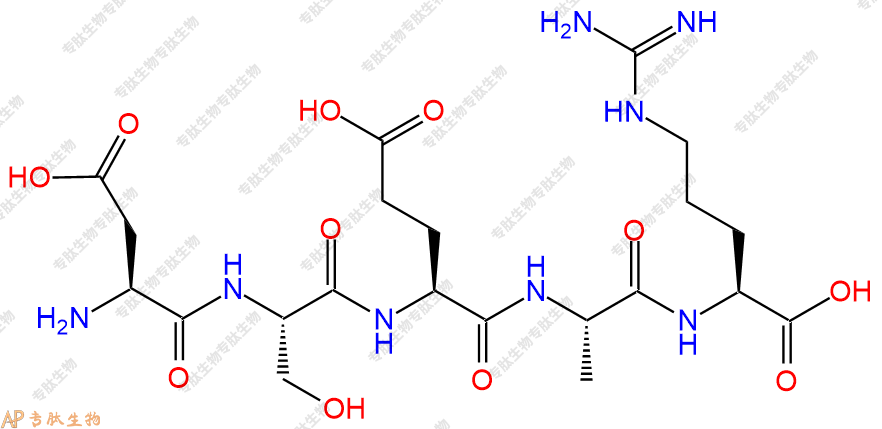 专肽生物产品五肽Asp-Ser-Glu-Ala-Arg121274-64-4
