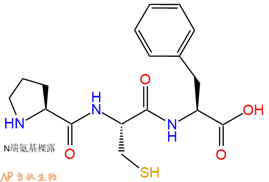 专肽生物产品三肽Pro-Cys-Phe