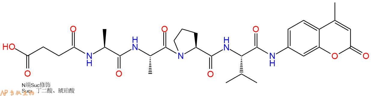 专肽生物产品白细胞弹性蛋白酶（中性粒细胞弹性蛋白酶）底物113277-37-5