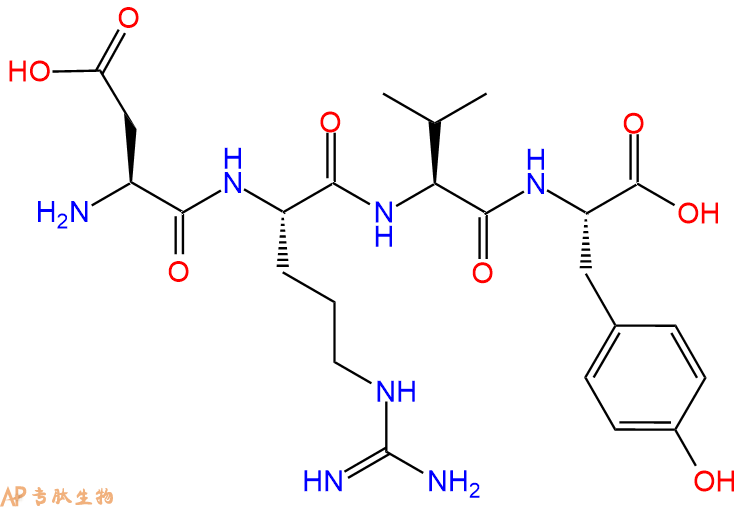 专肽生物产品血管紧张素I(1-4)、Angiotensin II(1-4), human52580-29-7