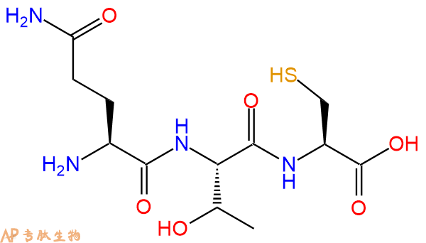 专肽生物产品三肽Gln-Thr-Cys