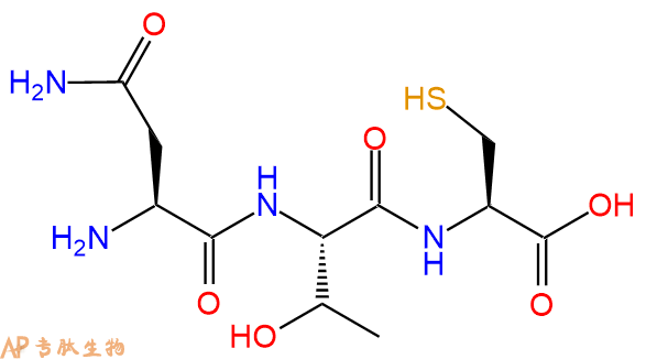 专肽生物产品三肽Asn-Thr-Cys