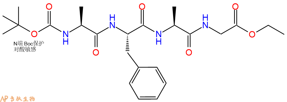 专肽生物产品四肽Boc-Ala-Phe-Ala-Gly-乙酯化