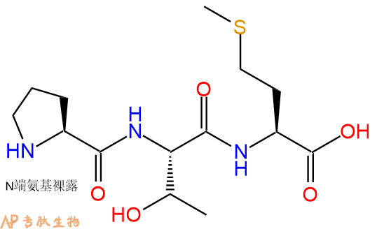 专肽生物产品三肽Pro-Thr-Met