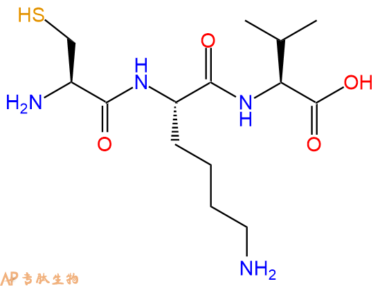专肽生物产品三肽Cys-Lys-Val