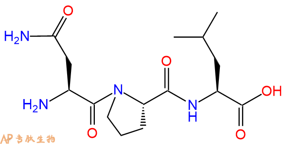 专肽生物产品三肽Asn-Pro-Leu