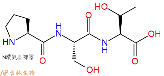 专肽生物产品三肽Pro-Ser-Thr