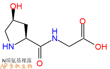 专肽生物产品二肽Hyp-Gly7672-35-7