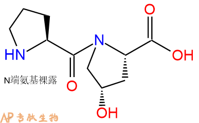 专肽生物产品二肽-6、Dipeptide-6、Prolyl-hydroxyproline18684-24-7