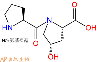 专肽生物产品Pro-Hyp18684-24-7