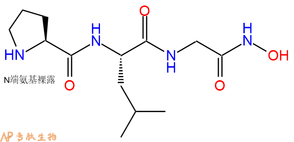 专肽生物产品基质金属蛋白酶MMP-8 Inhibitor120928-08-7