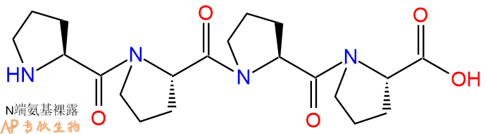 专肽生物产品四肽Pro-Pro-Pro-Pro21866-90-0