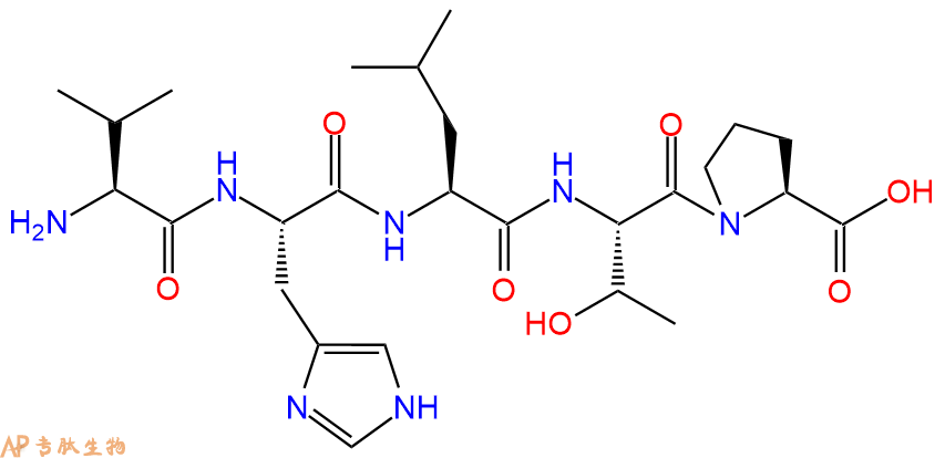 专肽生物产品五肽Val-His-Leu-Thr-Pro93913-38-3