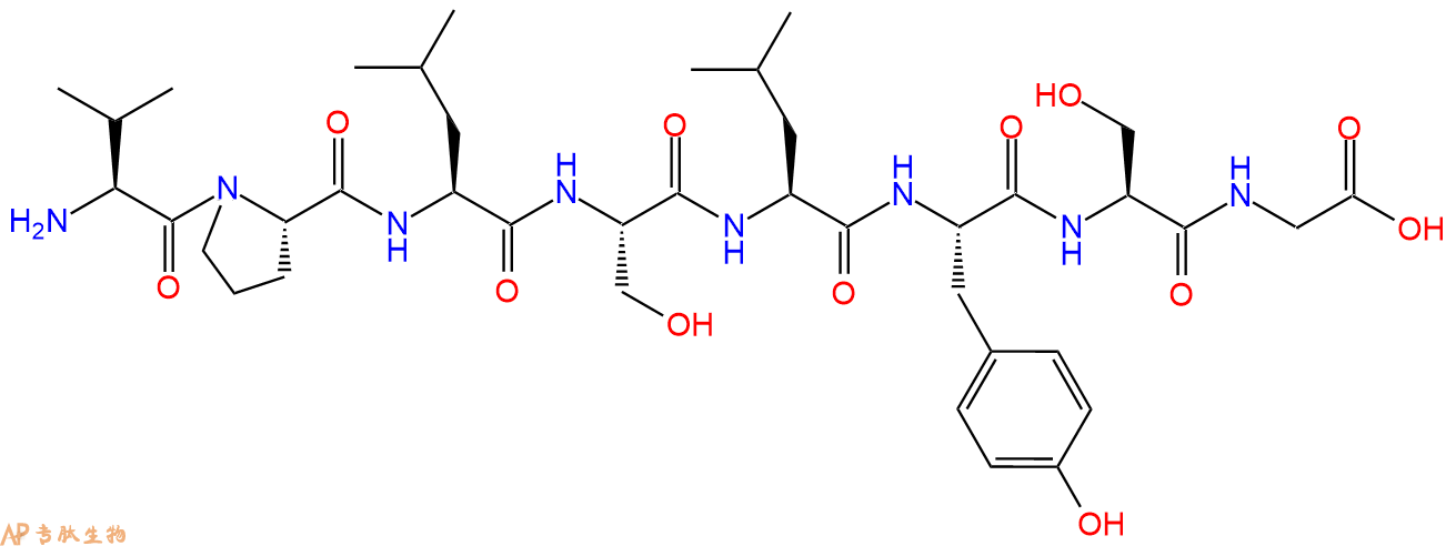 专肽生物产品基质金属蛋白酶MMP-2/MMP-7/MMP-9 Substrate425632-67-3