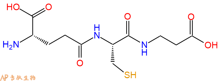 专肽生物产品味觉调节肽：同型谷胱甘肽、Homoglutathione18710-27-5