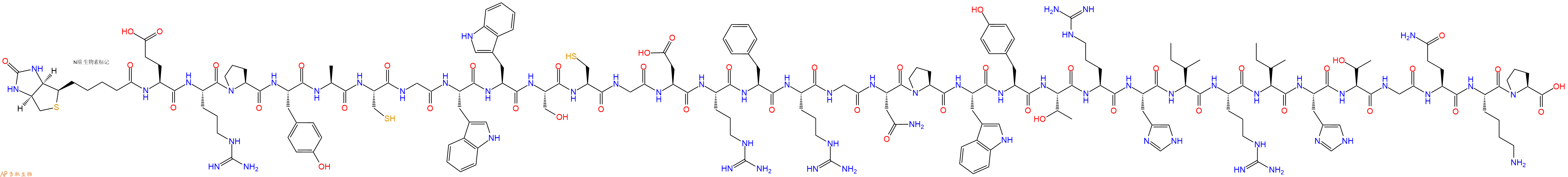 专肽生物产品生物素标记肽Biotin-Glu-Arg-Pro-Tyr-Ala-Cys-Gly-Trp-Trp-S