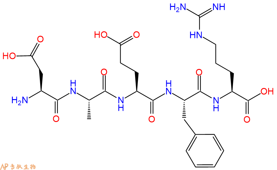 专肽生物产品五肽Asp-Ala-Glu-Phe-Arg