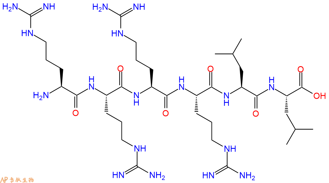 专肽生物产品六肽Arg-Arg-Arg-Arg-Leu-Leu