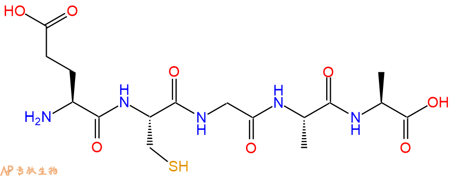 专肽生物产品五肽Glu-Cys-Gly-Ala-Ala