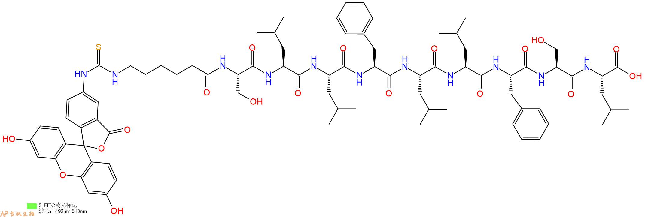 专肽生物产品十肽Fitc-Acp-SLLFLLFSL