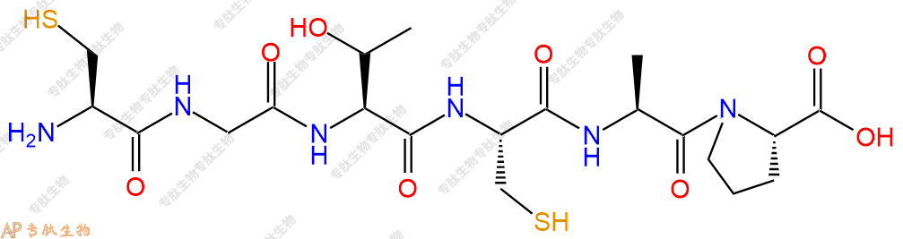 专肽生物产品六肽Cys-Gly-Thr-Cys-Ala-Pro