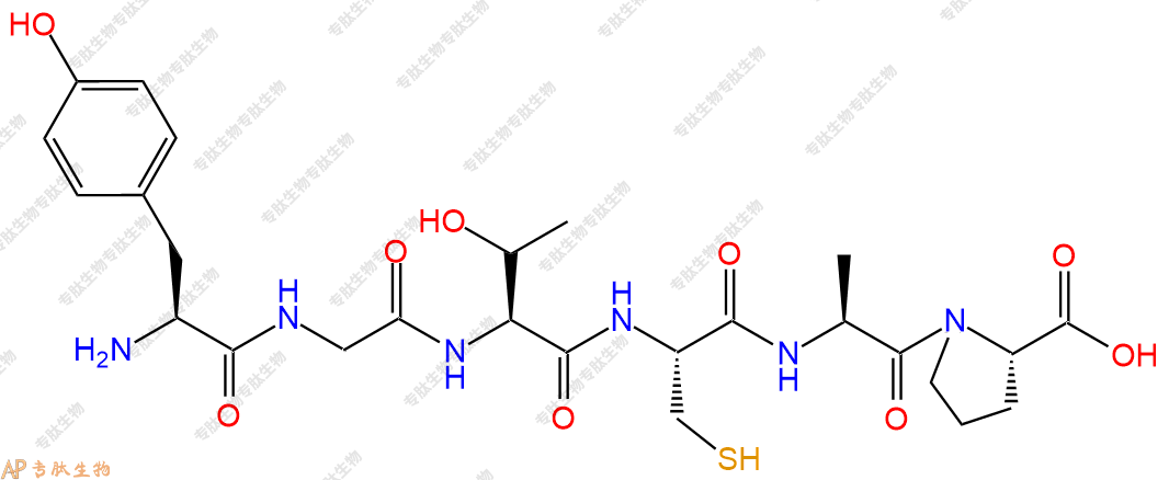 专肽生物产品六肽Tyr-Gly-Thr-Cys-Ala-Pro