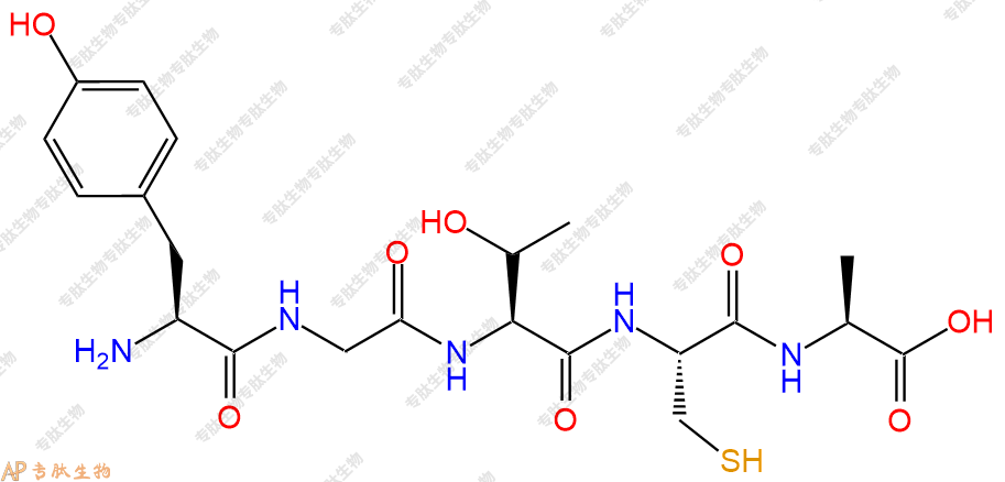 专肽生物产品五肽Tyr-Gly-Thr-Cys-Ala