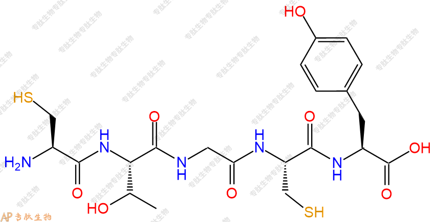 专肽生物产品五肽Cys-Thr-Gly-Cys-Tyr