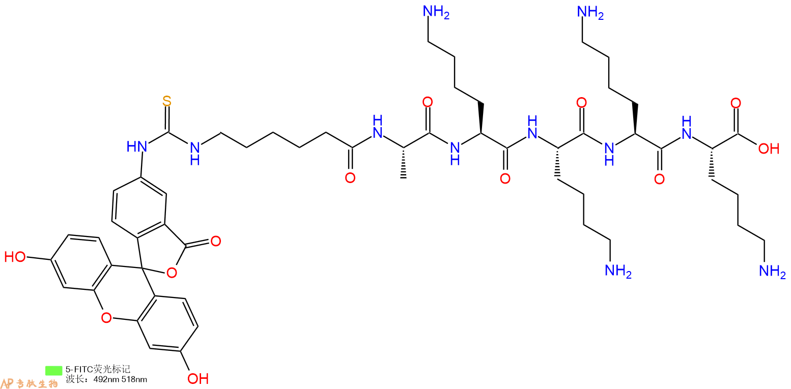 专肽生物产品六肽FITC-Acp-Ala-Lys-Lys-Lys-Lys