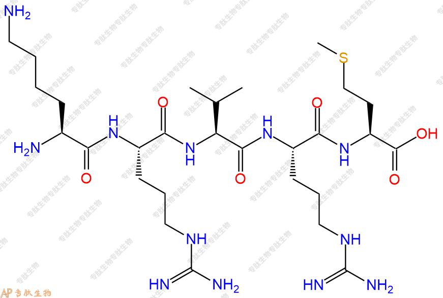 专肽生物产品五肽Lys-Arg-Val-Arg-Met