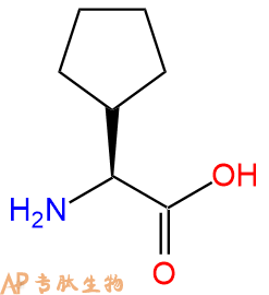 专肽生物产品Cpg