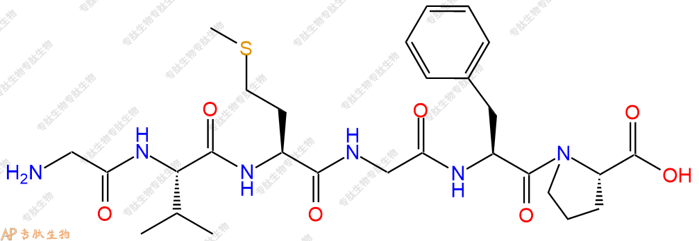 专肽生物产品六肽Gly-Val-Met-Gly-Phe-Pro