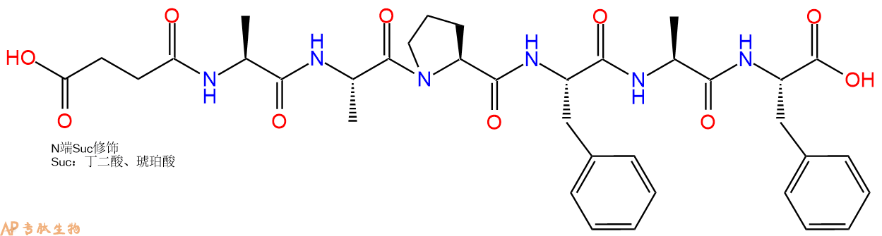 专肽生物产品六肽Suc-Ala-Ala-Pro-Phe-Ala-Phe