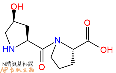 专肽生物产品二肽Hyp-Pro