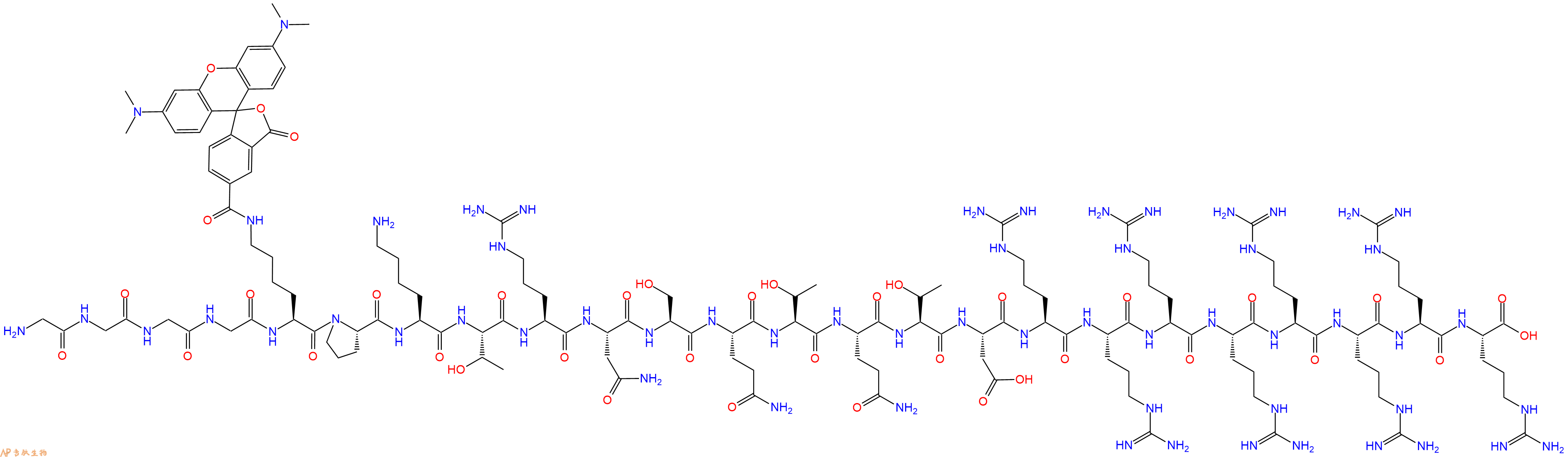 专肽生物产品二十四肽GGGG-K(TAMRA)-PKTRNSQTQTDRRRRRRRR