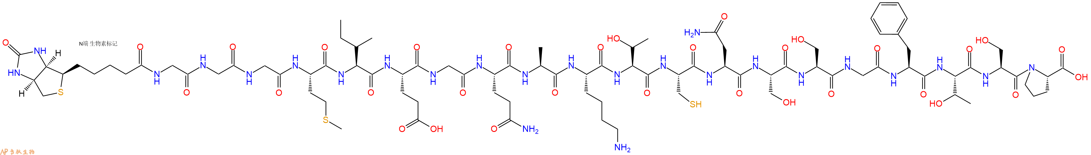 专肽生物产品生物素标记肽Biotin-GGGMIEGQAKTCNSSGFTSP