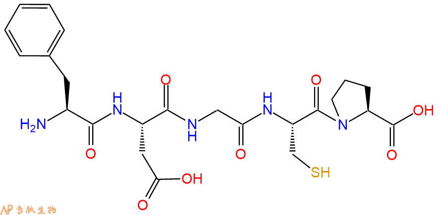 专肽生物产品五肽Phe-Asp-Gly-Cys-Pro