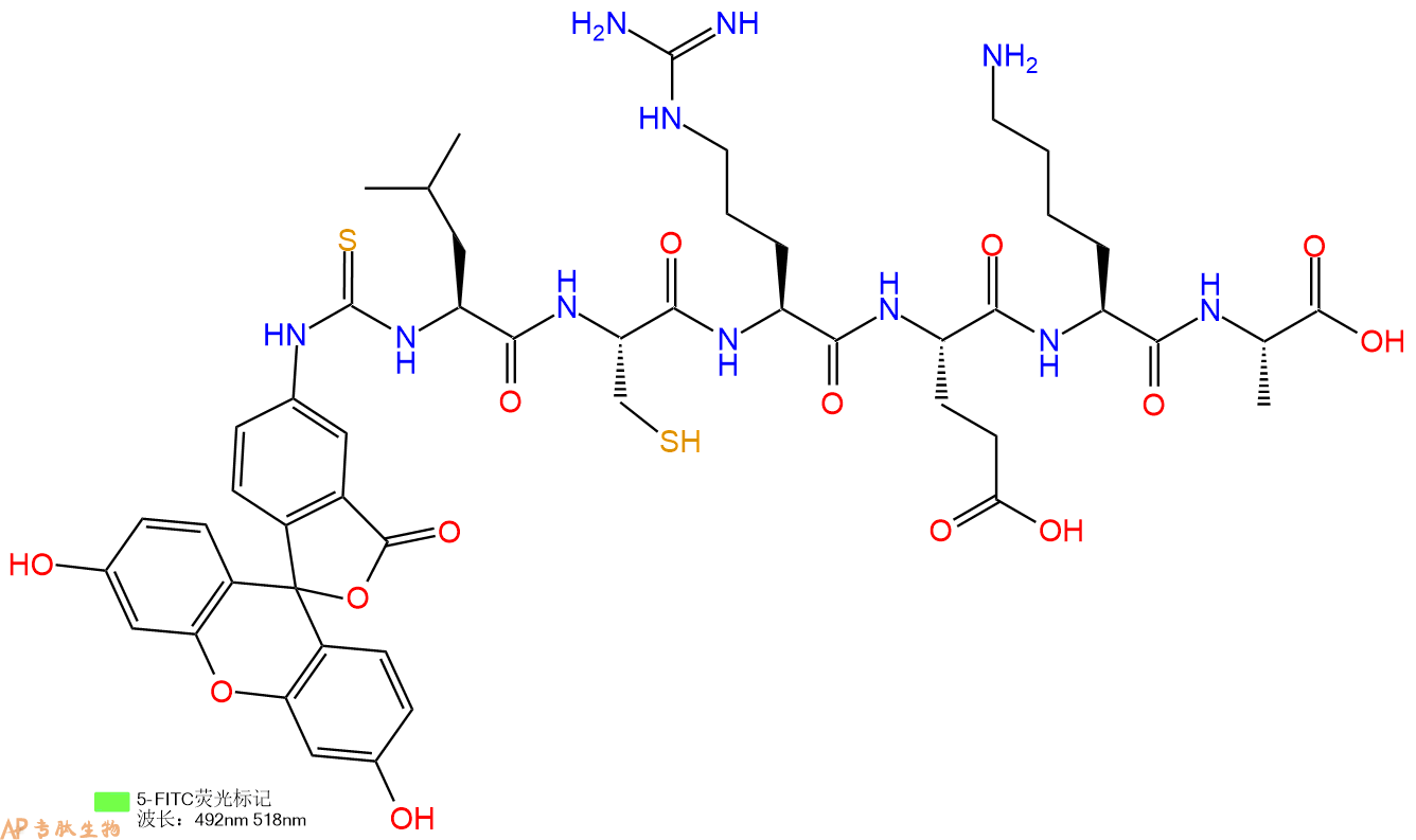 专肽生物产品六肽FITC-Leu-Cys-Arg-Glu-Lys-Ala