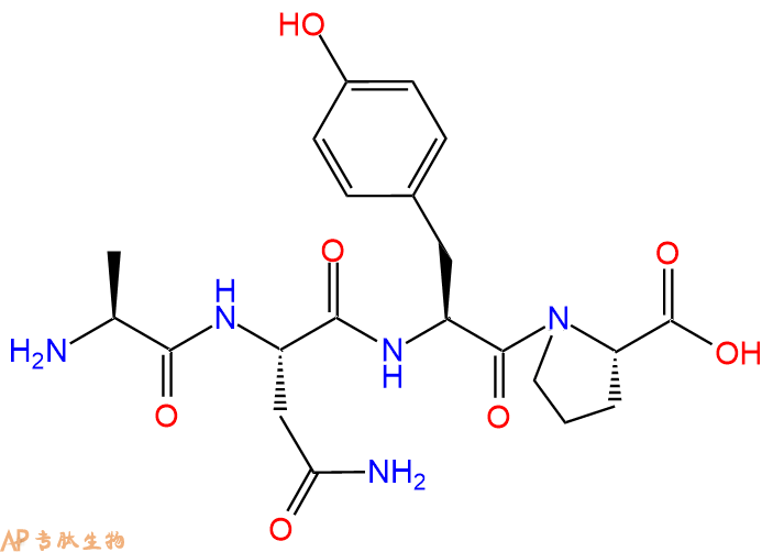 专肽生物产品四肽Ala-Asn-Tyr-Pro