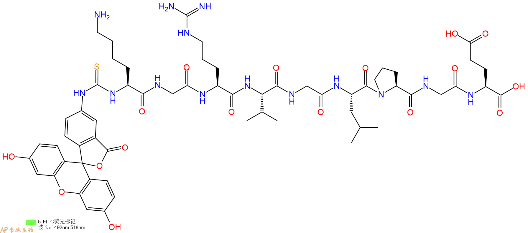 专肽生物产品九肽Fitc-KGRVGLPGE