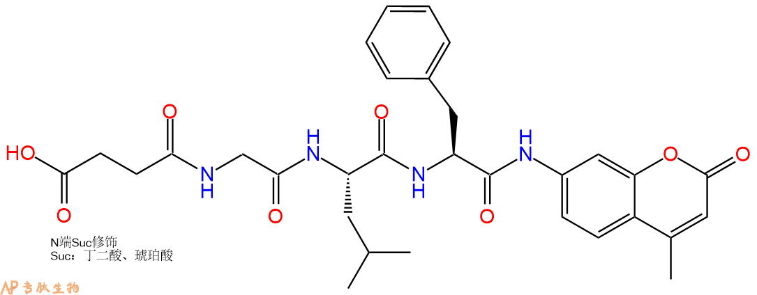 专肽生物产品三肽Suc-Gly-Leu-Phe-7-氨基-4-甲基香豆素