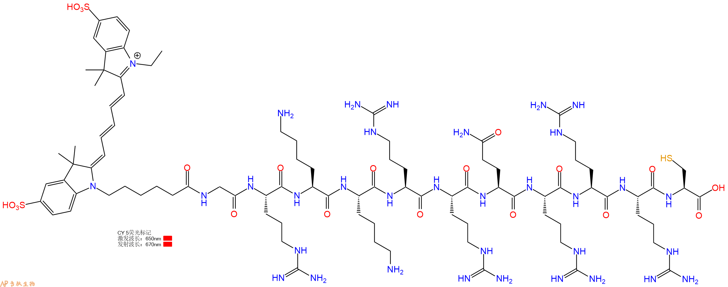 专肽生物产品十一肽CY5-GRKKRRQRRRC