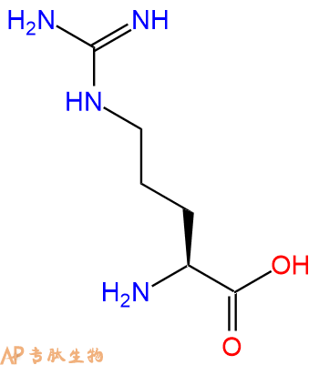 专肽生物产品Arg