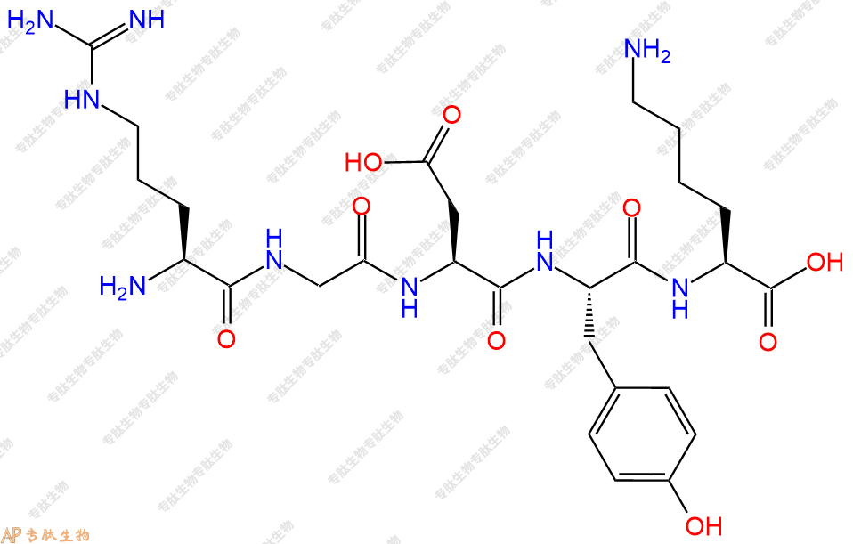 专肽生物产品五肽Arg-Gly-Asp-Tyr-Lys